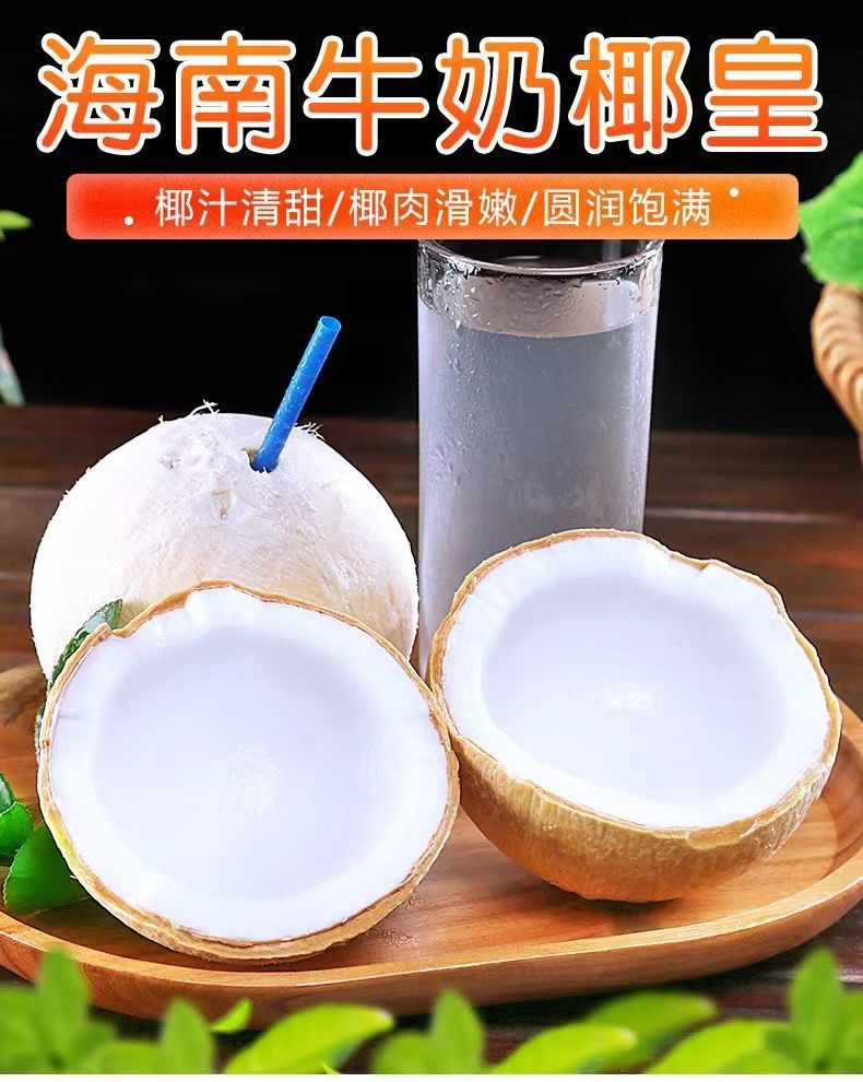 海南椰子新鲜椰青椰白孕妇当季水果椰皇毛椰奶椰海南特产现摘