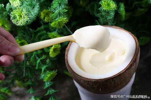 iff t2n 椰奶香精 超前包埋技术,超高性价比,让你的产品更吃香