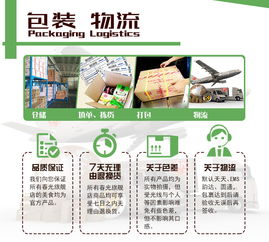 春光食品 海南特产 果干 椰子脆片60g 6 原味 传统木炭烘烤 易携