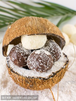 椰子类食品的魅力与多样性