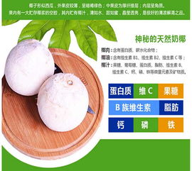 椰泰海南椰子汁 绿色食品供应商全览与椰子食品深度解析